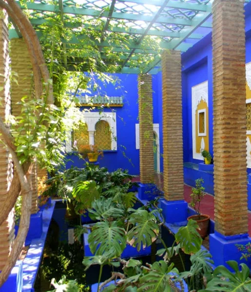 image front